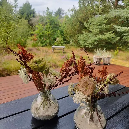 Cozy In Hune Near